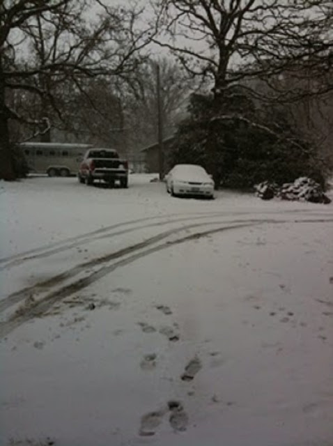 1st Day of Spring