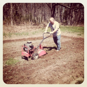 Try our hand at a Green Thumb