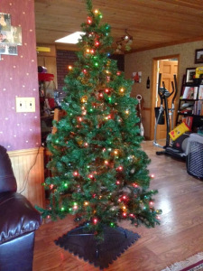 Deck the Halls {And a Surprise, don’t miss it}