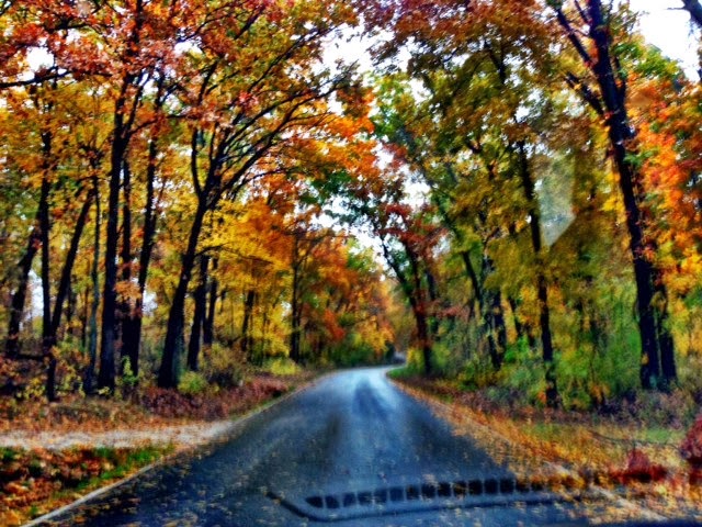 Your Fall Bucket List | Blogtober ’14