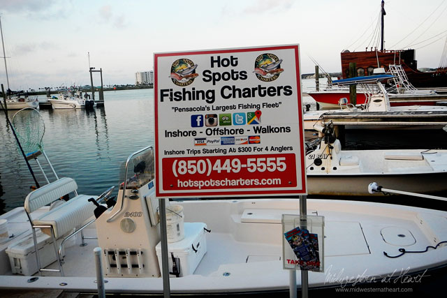 Pensacola Beach: Deep Sea Fishing