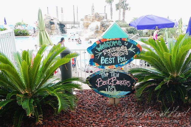 Pensacola Beach: The Beach