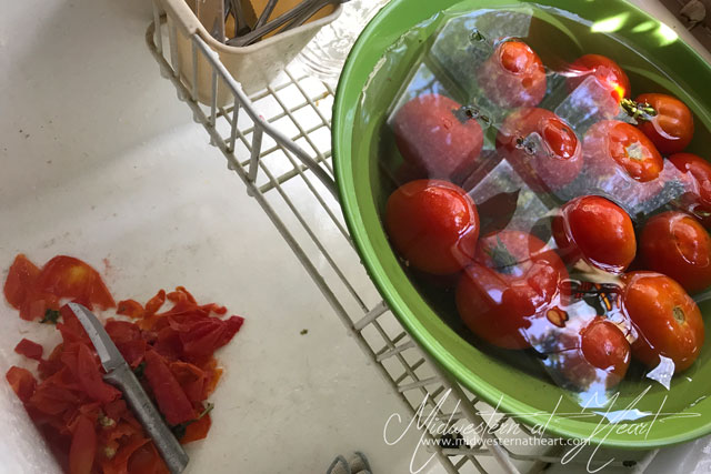 Midwestern at Heart: Tomatoes sitting in Ice water waiting to have their skins removed. Skins sitting in the sink already removed from tomatoes.