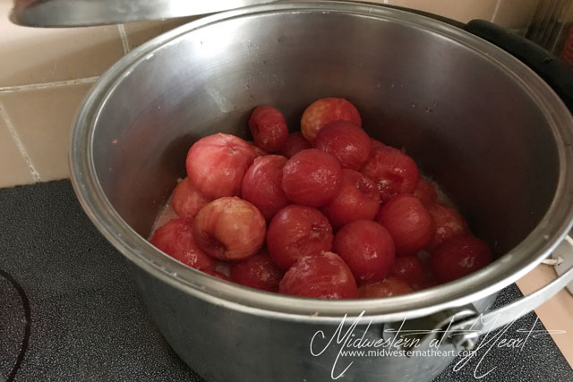 Midwestern at Heart: Tomatoes on stove in pot waiting to come to a boil and be cooked.