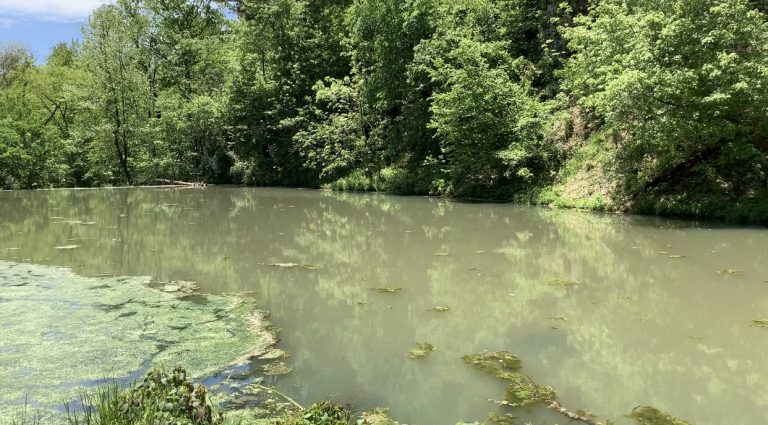 Thoughts 6 Days Post Lockdown