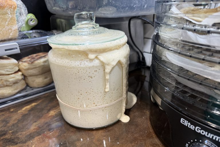 My Favorite Sourdough Tools (And the Ones I Actually Use) {Part 1}